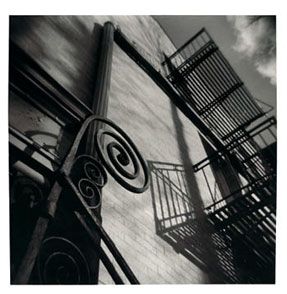 photography by Harvey Stein