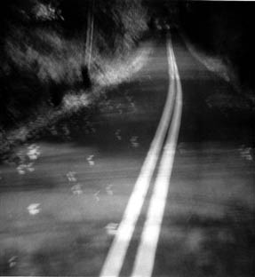 photography by Harvey Stein