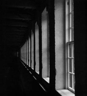 photography by Harvey Stein