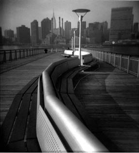 photography by Harvey Stein