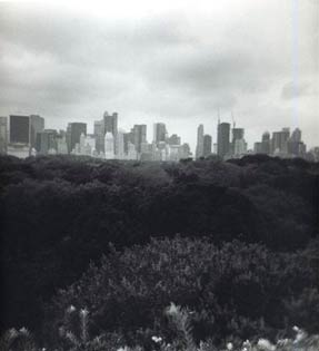 photography by Harvey Stein