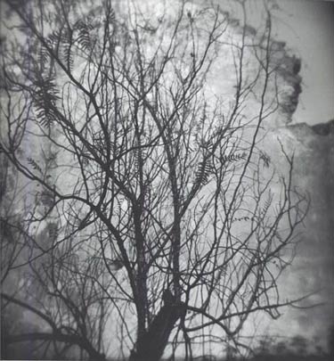 photography by Harvey Stein