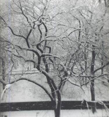 photography by Harvey Stein