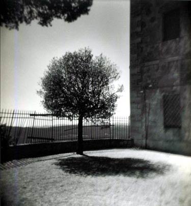 photography by Harvey Stein