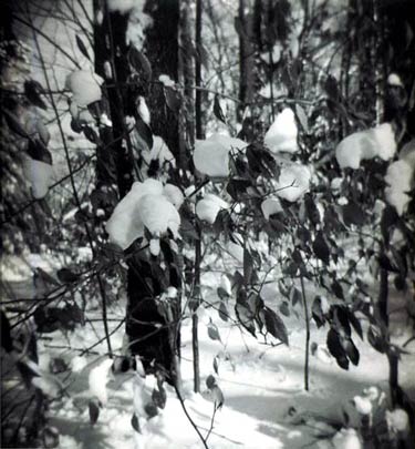 photography by Harvey Stein