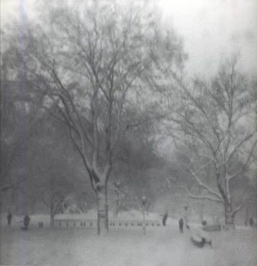 photography by Harvey Stein