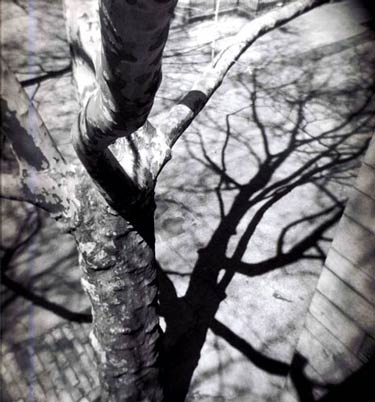 photography by Harvey Stein