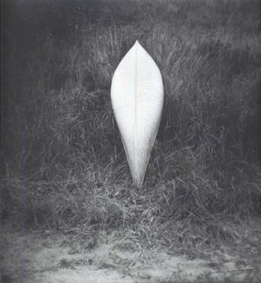 photography by Harvey Stein