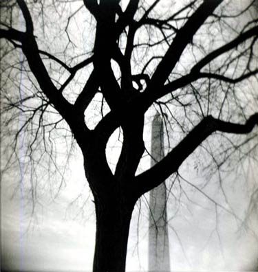 photography by Harvey Stein