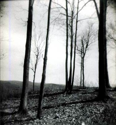 photography by Harvey Stein