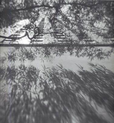 photography by Harvey Stein