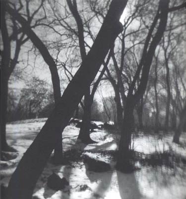 photography by Harvey Stein