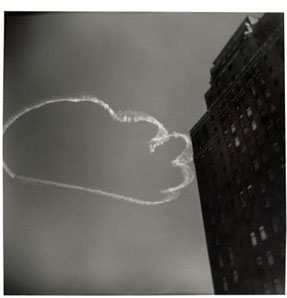 photography by Harvey Stein