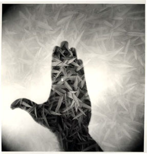 photography by Harvey Stein