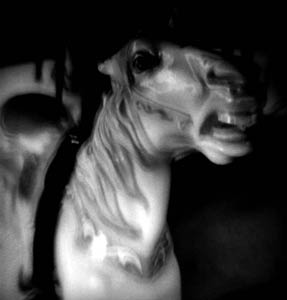 photography by Harvey Stein