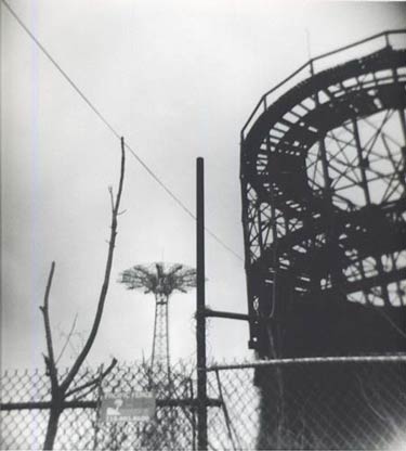 photography by Harvey Stein