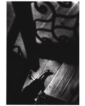 photography by M. Sullivan