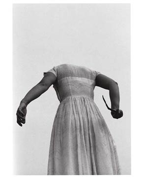 photography by M. Sullivan