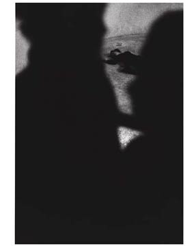 photography by M. Sullivan
