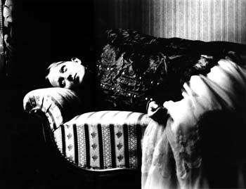 photography by M. Sullivan