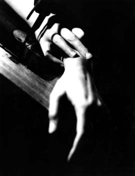 photography by M. Sullivan