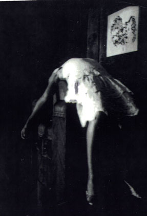 photography by M. Sullivan