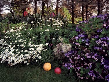 photography by Brad Temkin