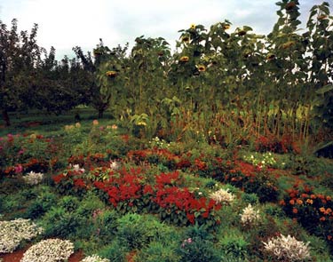 photography by Brad Temkin