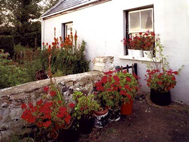 photography by Brad Temkin