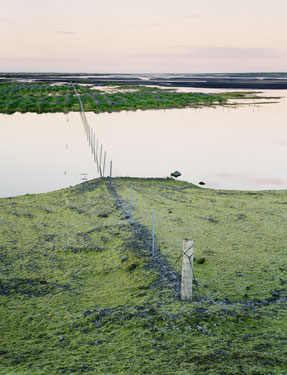 photography by Brad Temkin