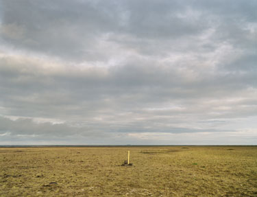 photography by Brad Temkin