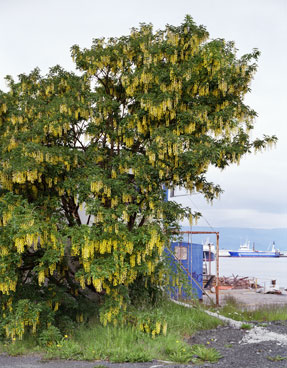 photography by Brad Temkin