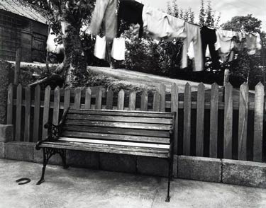 photography by Brad Temkin