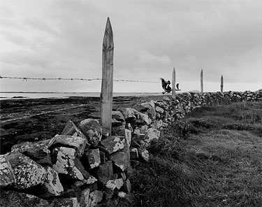 photography by Brad Temkin