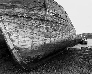 photography by Brad Temkin