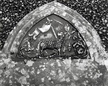 photography by Brad Temkin