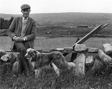 photography by Brad Temkin