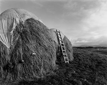 photography by Brad Temkin