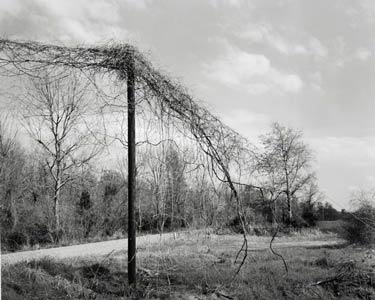 photography by Brad Temkin