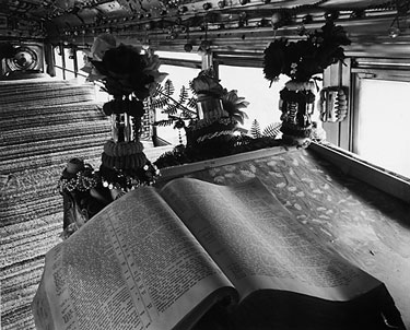 photography by Brad Temkin