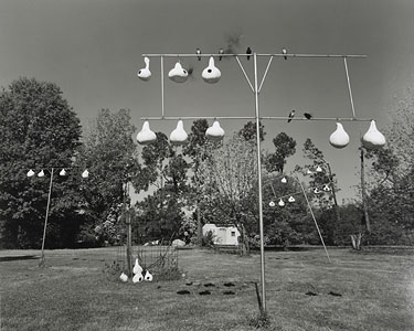 photography by Brad Temkin