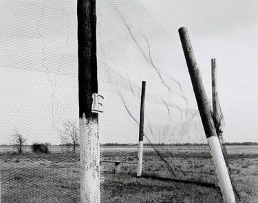 photography by Brad Temkin