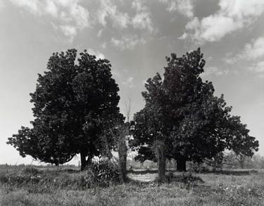 photography by Brad Temkin