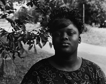 photography by Brad Temkin