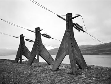 photography by Brad Temkin