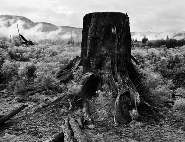 photography by Brad Temkin