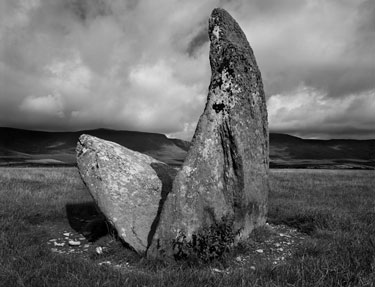 photography by Brad Temkin