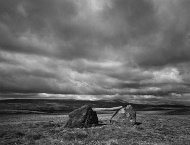 photography by Brad Temkin