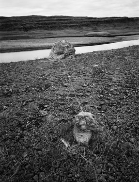 photography by Brad Temkin