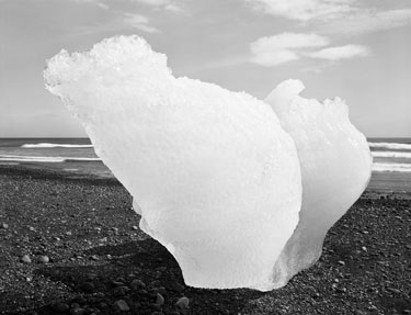 photography by Brad Temkin